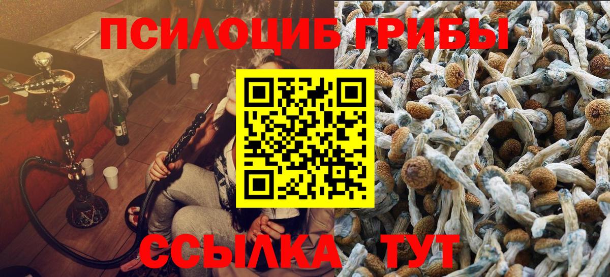 Галлюциногенные грибы Magic Shrooms  Вход с VPN  Спасск-Дальний 